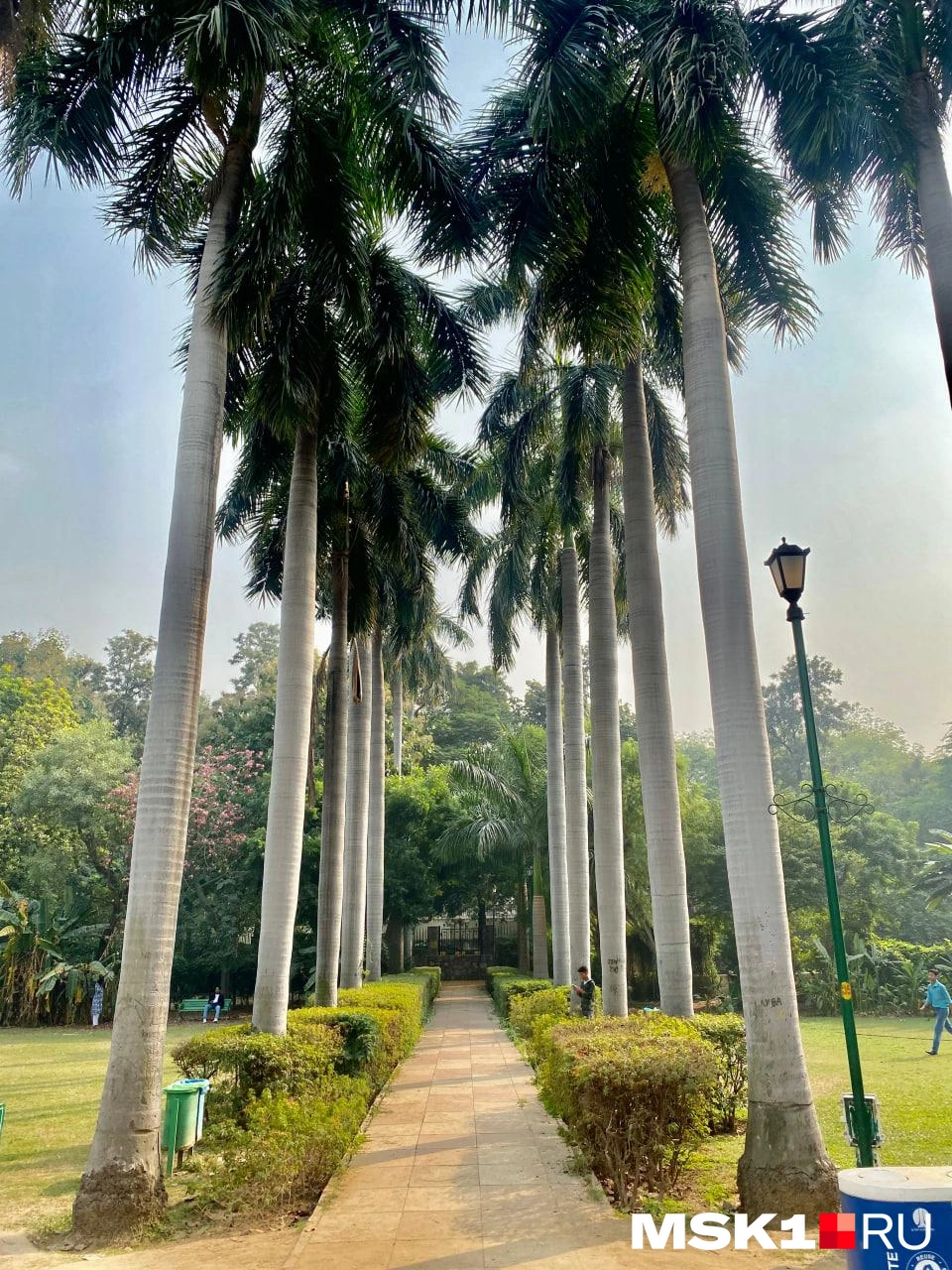 Природа Индии | Источник: Лада Михайлович