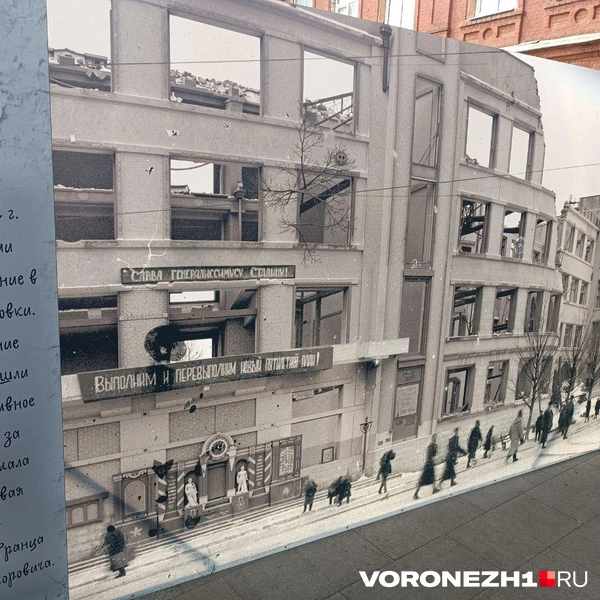 Источник: Алёна Воропаева / Voronezh1.ru