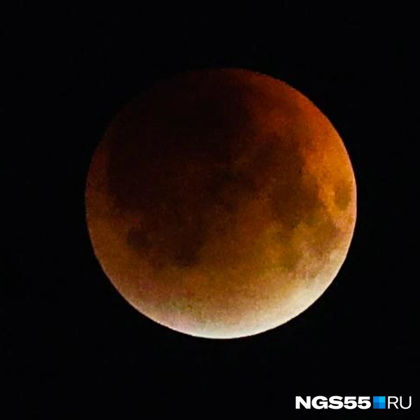 Кровавый снимок  | Источник: Евгений Софийчук / NGS55.RU 