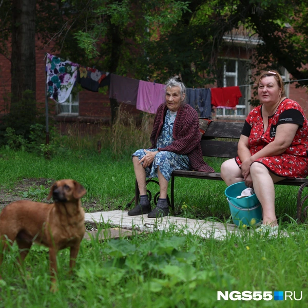 Время большой стирки | Источник: Евгений Софийчук / NGS55.RU