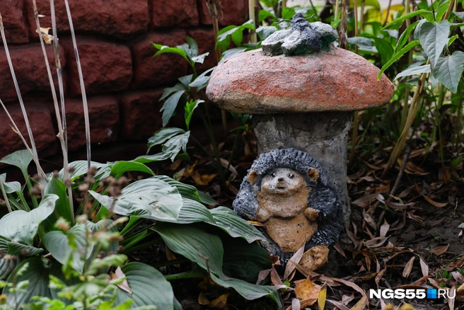 Под царь-грибом можно спрятаться от дождя | Источник: Евгений Софийчук / NGS55.RU