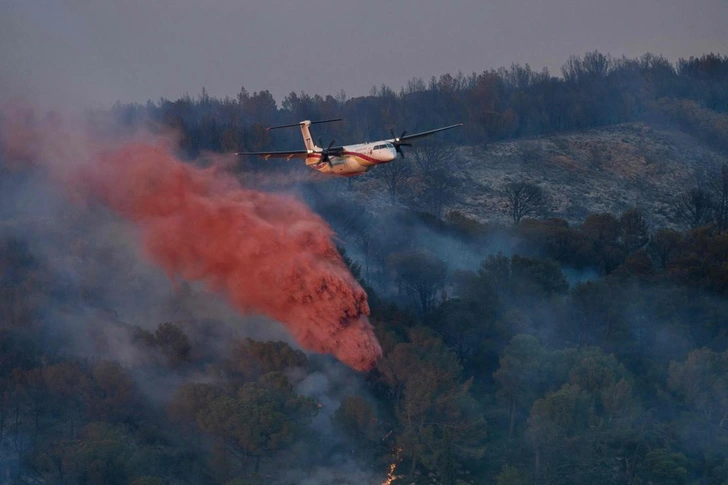 Бизане, 29 июня | Источник: AFP