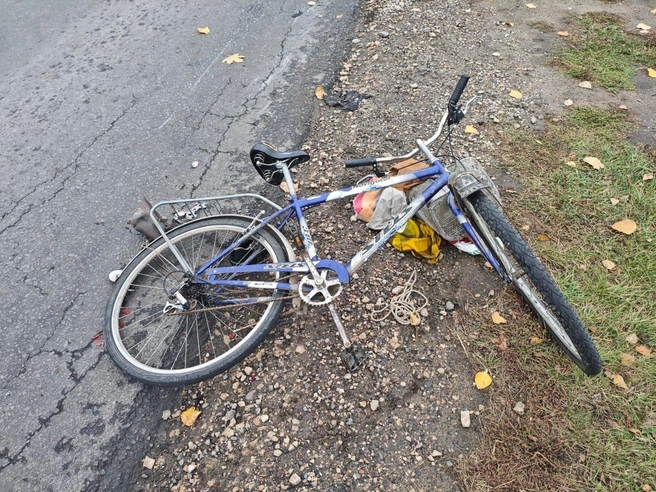 Пенсионер умер до приезда медиков | Источник: МВД России по Воронежской области / T.me