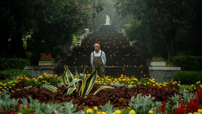 Источник: «Кинопоиск»