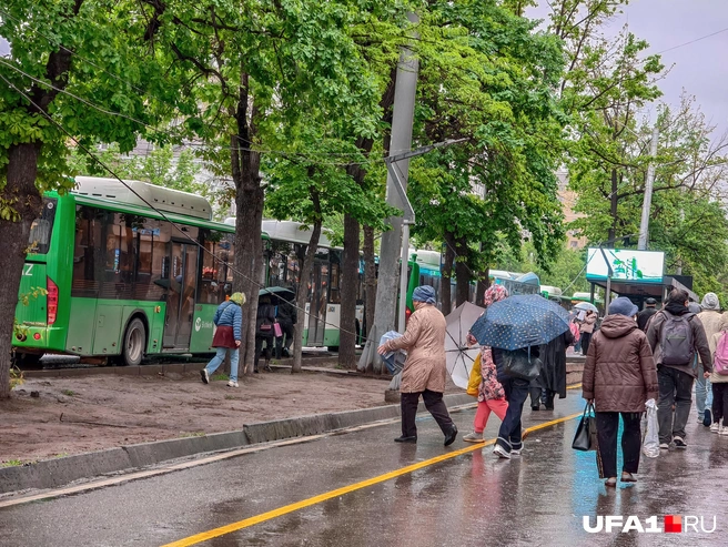 Сколько автобусов насчитали? | Источник: Булат Салихов / UFA1.RU