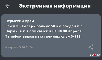 После этого ввели режим «Ковер» в 01:30 | Источник: Приложение МЧС России