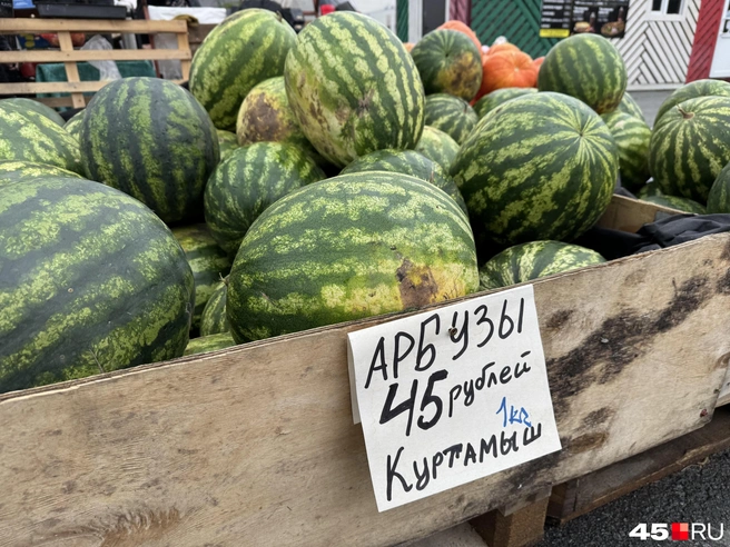 Местный арбуз  | Источник: Юлия Король / 45.RU