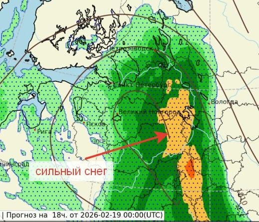 Источник: телеграм-канал Александра Колесова