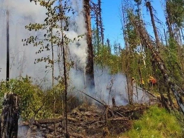 Больше всего пожаров зафиксировано в Енисейском, Северо-Енисейском, Туруханском районах и Эвенкии | Источник: Лесопожарный центр Красноярского края / Телеграм