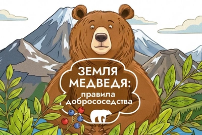 На Сахалине медведи выходили к людям более 500 раз за год