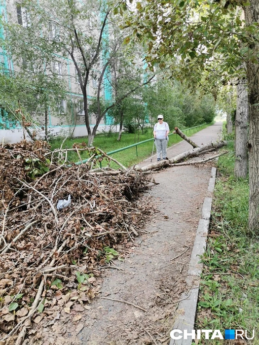 Пенсионерам особенно невесело | Источник: очевидец