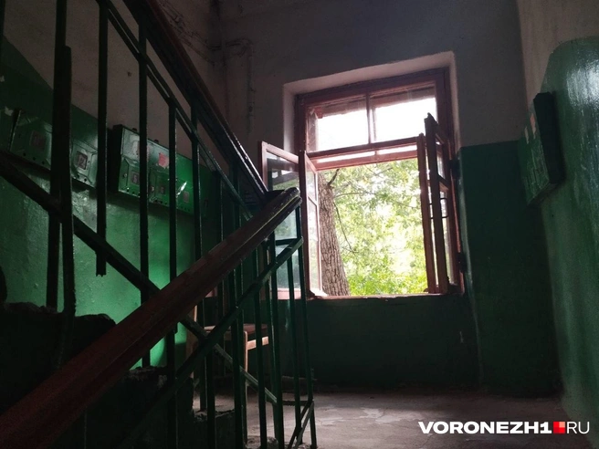 Источник: Дмитрий Волгин / Voronezh1.ru