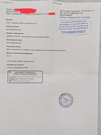 Справка из травмпункта подтверждает факт укуса | Источник: мать пострадавшего ребенка