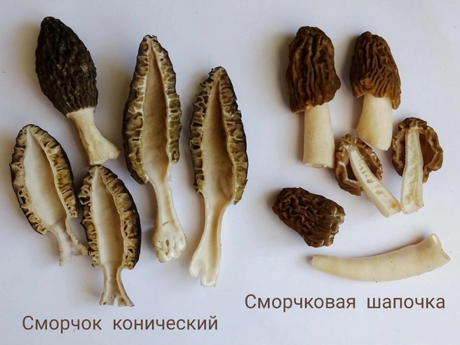 Источник: 47news