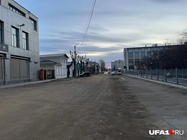 В этой РБ тоже деревья не любят | Источник: Андрей Бирюков / UFA1.RU