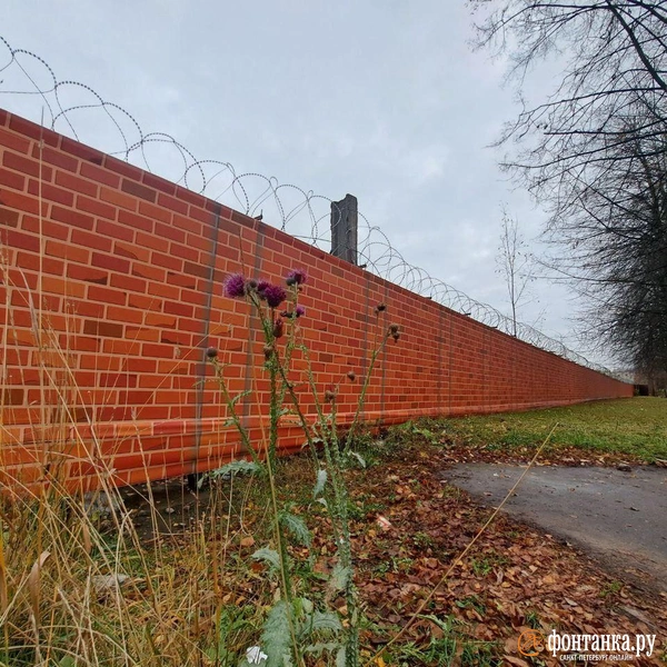 Источник: читатель «Фонтанки»