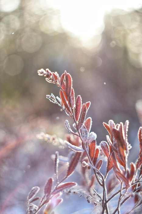 Источник: Анастасия Руднева / Vk.com