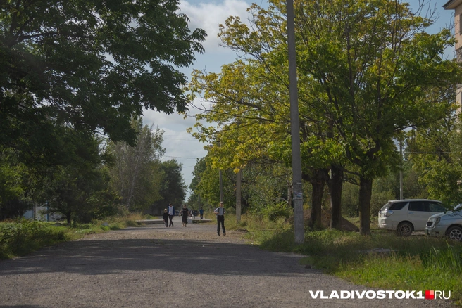 Источник: Елена Буйвол / VLADIVOSTOK1.RU