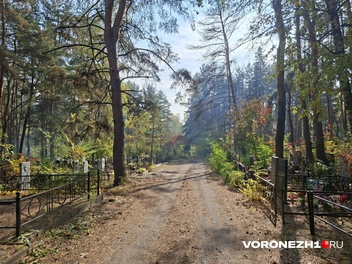 Источник: Алёна Воропаева / Voronezh1.ru
