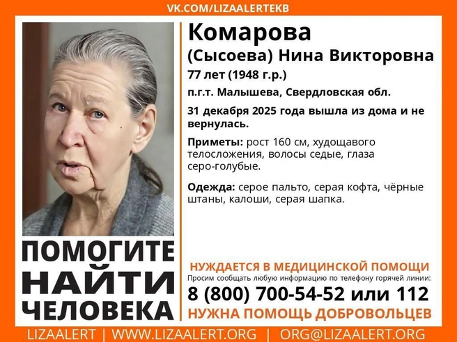 Источник: поисковый отряд «ЛизаАлерт»
