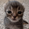 userpic__Аня