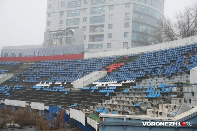 Источник: Дмитрий Волгин / Voronezh1.ru