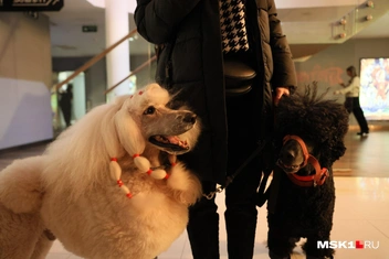 Источник: Артем Устюжанин / MSK1.RU