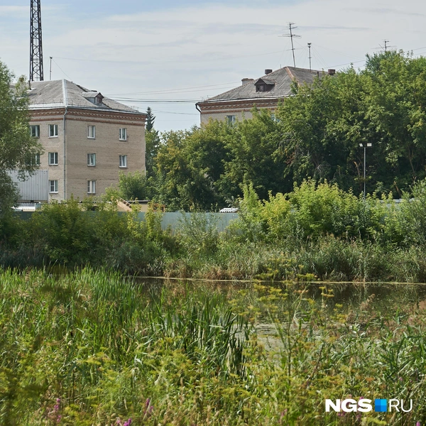 Дом расположен вблизи озера Гладкое, и подойти к водоему проблематично | Источник: Александр Ощепков / NGS.RU