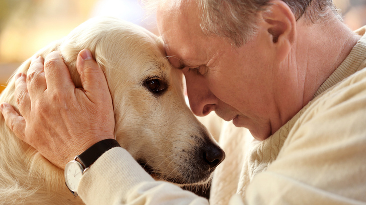 Ученые выяснили, как собаки помогают при ПТСР