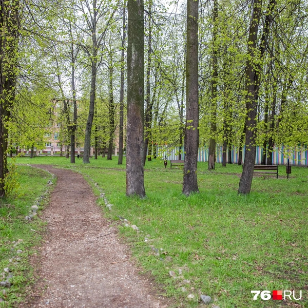 Где именно будет оборудована площадка, на данный момент не сообщается | Источник: Кирилл Поверинов / 76.RU