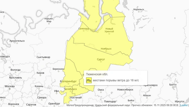 Объявлен желтый уровень опасности | Источник: meteoinfo.ru