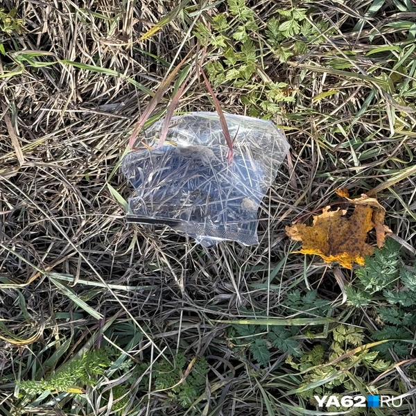 Тут же валяются обломки разбитой техники | Источник: Сергей Петунин / YA62.RU