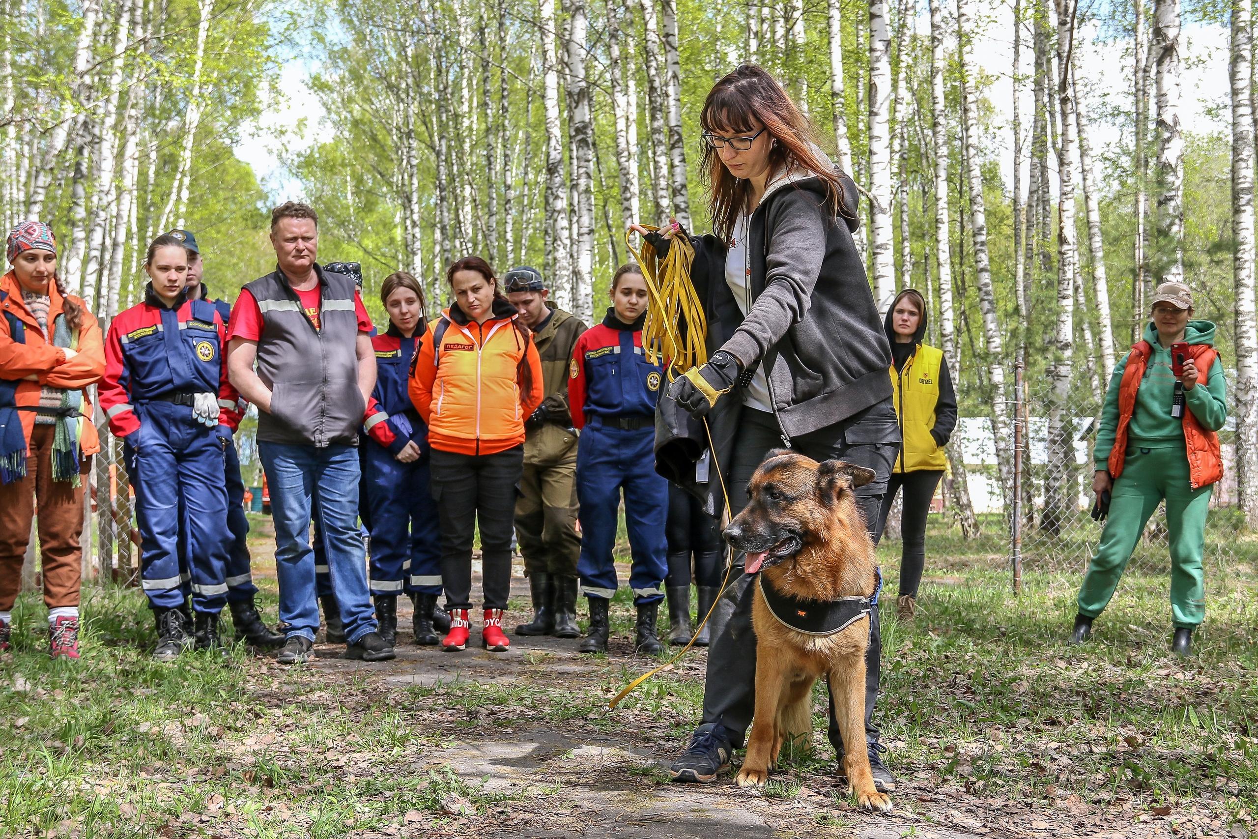 «Намного тяжелее собраться». Поисковикам стало сложнее работать в Нижегородской области из-за проблем с интернетом