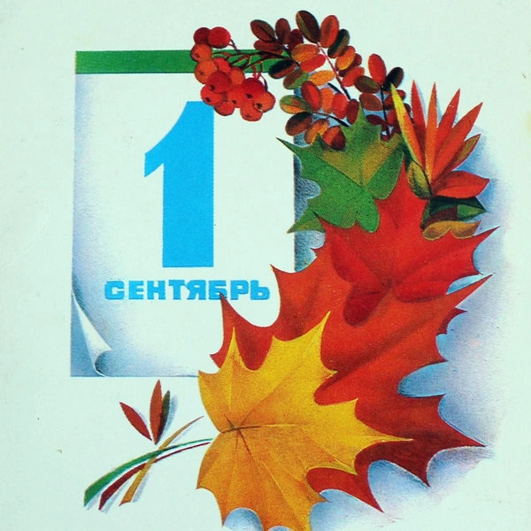 Источник: Соцсети