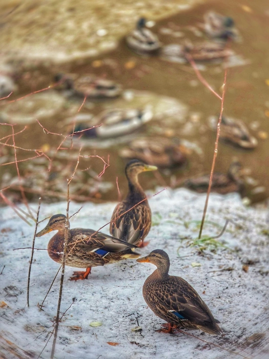 Источник: Хелен Вознесенская / ВКонтакте