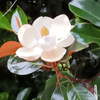 userpic__Мамита