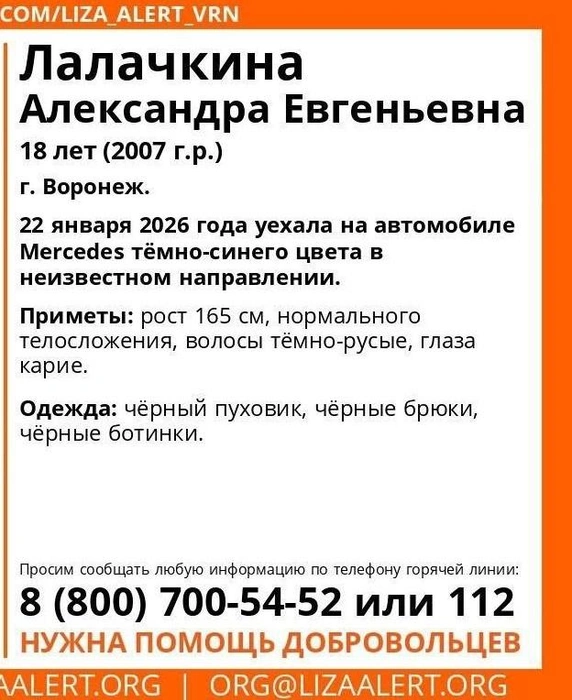 Источник: «ЛизаАлерт» / vk.com/liza_alert_vrn