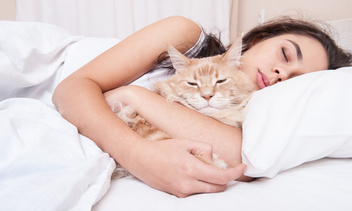 Что делают с нами кошки, когда мы спим: 12 реальных фото и видео