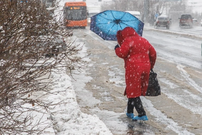 Anomalous Frosts Return to Volgograd Region