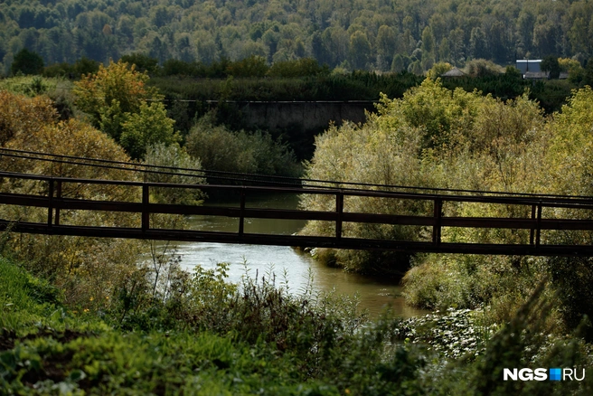 Экотропа начинается с почти 300-метрового подвесного моста, который появился в Суенге уже после того, как Николай Константинов «сдал первую очередь» тропы. Помогла ему администрация муниципального округа, и только после этого односельчане учителя нашли в туристическом аттракционе плюсы и для себя | Источник: Андрей Бортко / NGS.ru