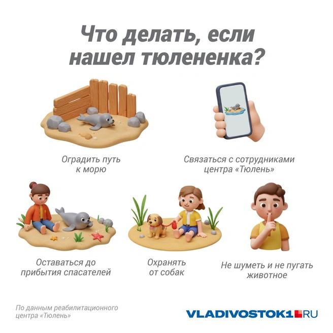 Источник: Полина Авдошина / Городские медиа