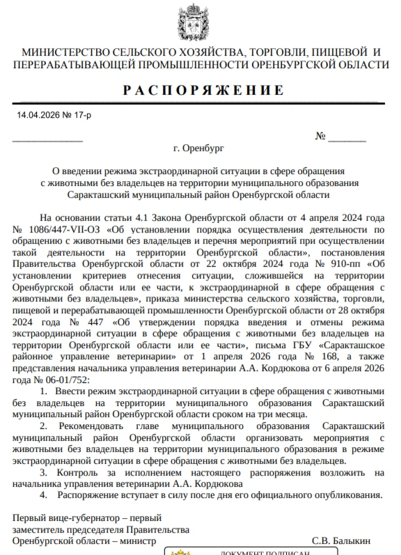 Пример распоряжения | Источник: pravo.orb.ru