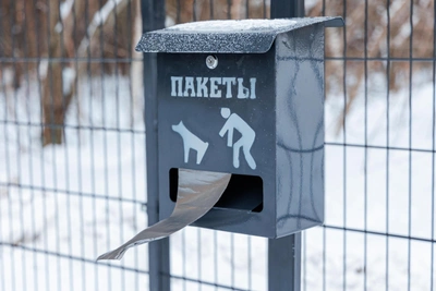 В Заполярье ужесточили правила выгула собак