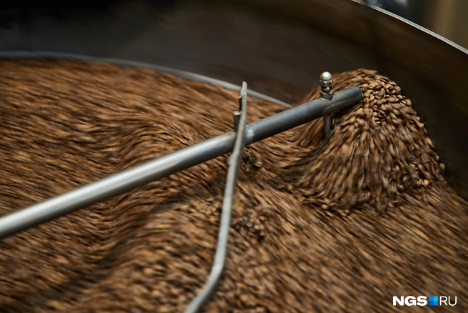 Изменения климата сказываются на урожае | Источник: Александр Ощепков / NGS.RU