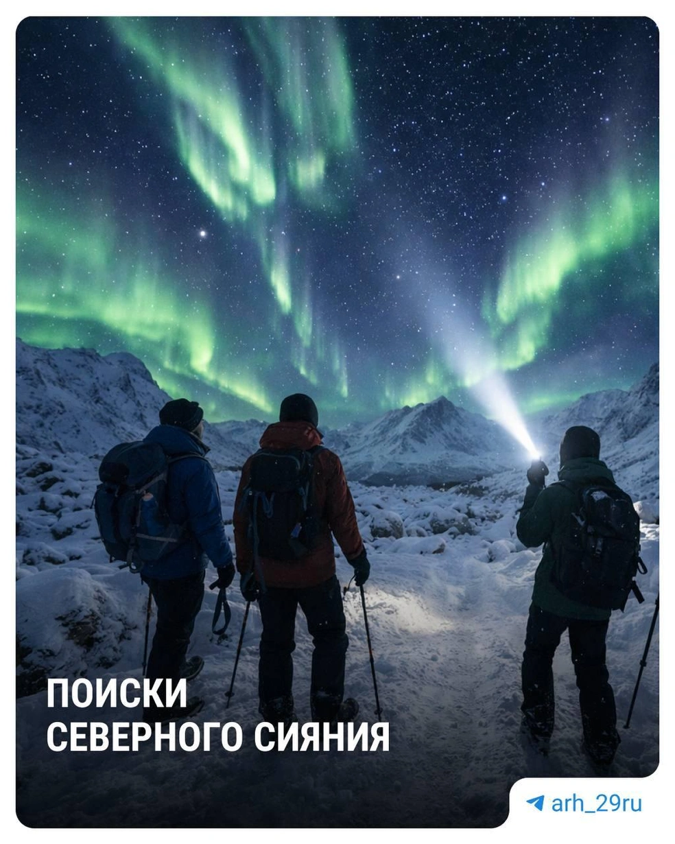 Источник: Анастасия Гусева / 29.RU