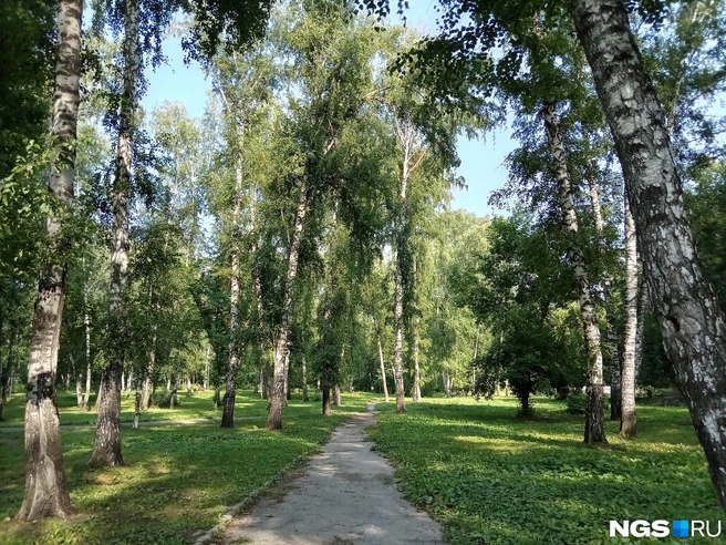 Этот парк славится обилием зеленых уголков | Источник: Рихарда Лем / NGS.RU