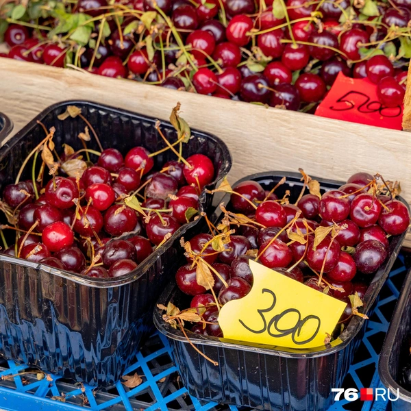 Вишня одна из самых дешевых | Источник: Кирилл Поверинов / 76.RU