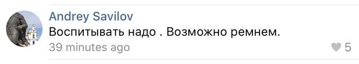 Школьницы пожарили крабовые палочки на Вечном огне и похвастались результатом в инстаграме (запрещенная в России экстремистская организация)