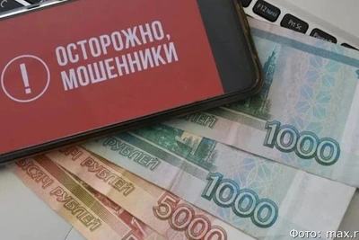 Жительница Петропавловска лишилась денег при покупке черепахи