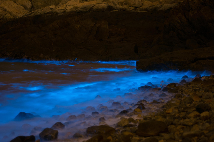 Сияние во тьме: посмотрите на 7 невероятных источников света в природе